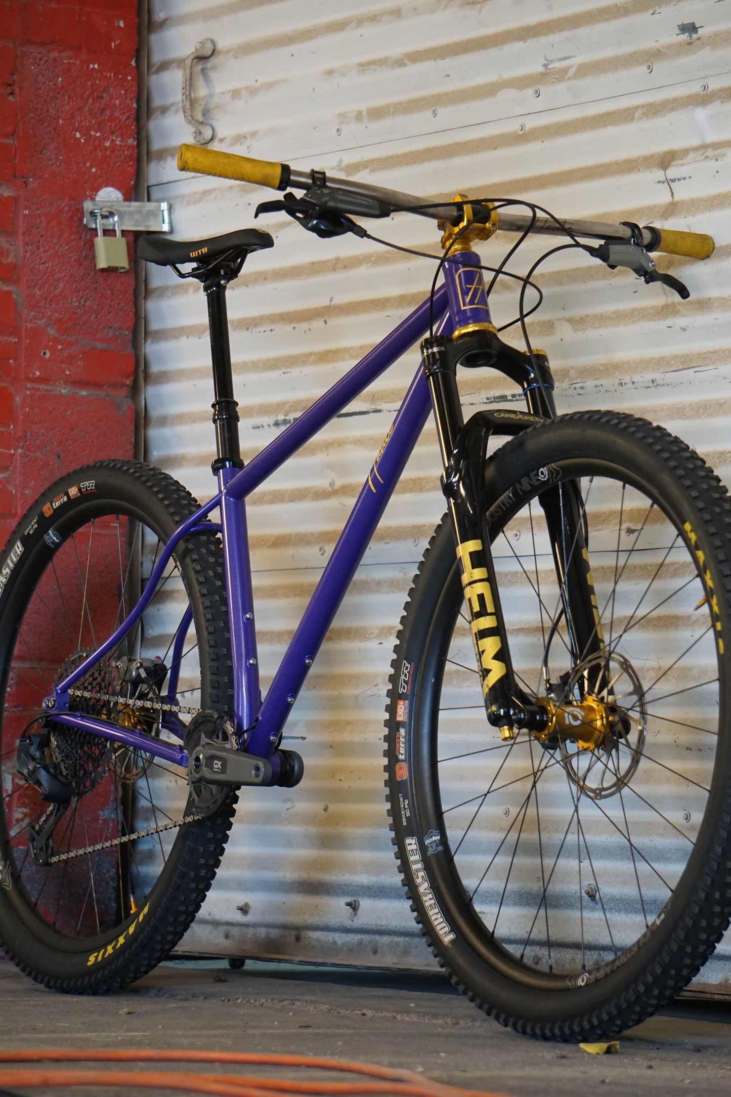 Haute Dog Hardtail - Demo Medium